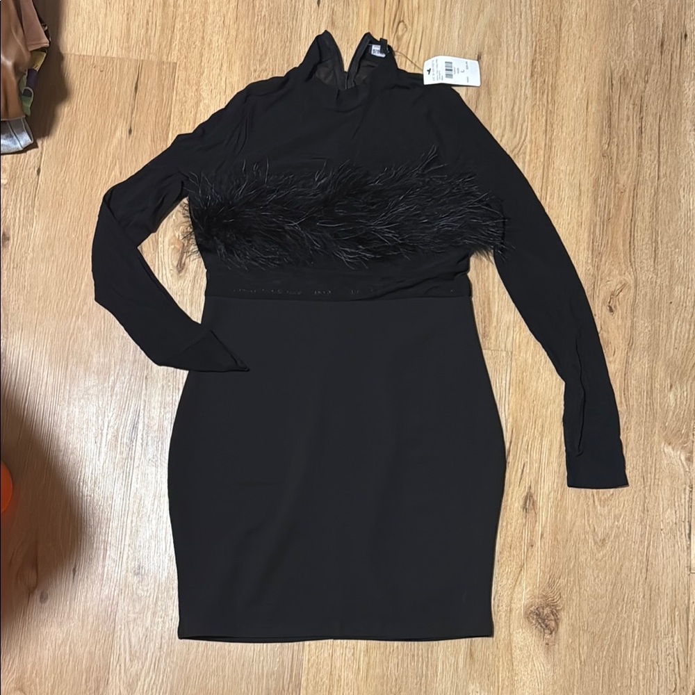 Elegant Black Feathered Dress